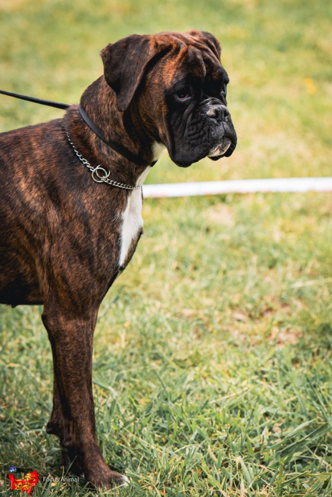 Vip dite freya Du Domaine De Bora