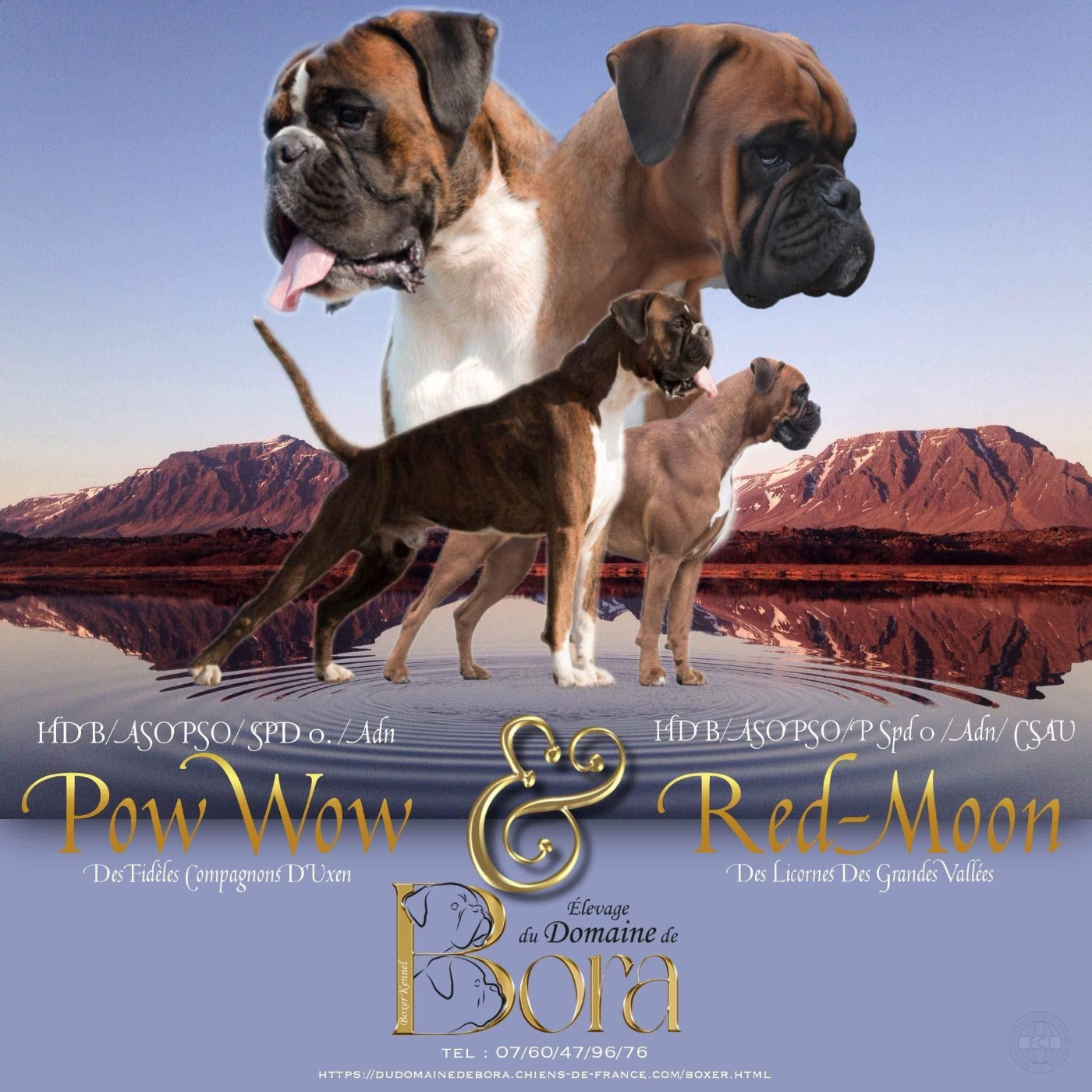 Portée 2023 ( U ) Red Moon & Pow WoW